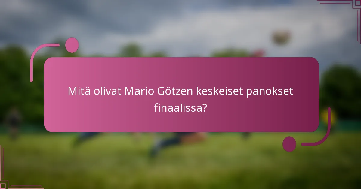 Mitä olivat Mario Götzen keskeiset panokset finaalissa?